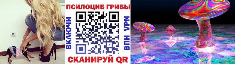 наркошоп  Корсаков  Галлюциногенные грибы MAGIC MUSHROOMS 